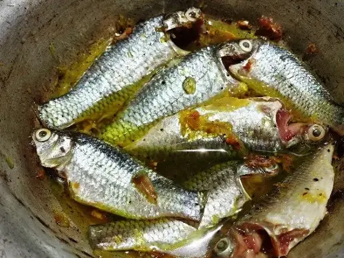 What kind of fish is the snakehead fish in Binh Dinh, where does it live that when braised with rau ram it becomes a famous delicious dish? - Photo 1.