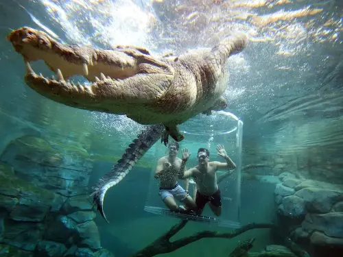 Northern territory price breaker crocosaurus cove