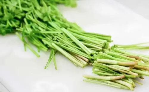 Wild vegetables sold in Vietnamese markets, diabetics should eat to prolong life - Photo 3.