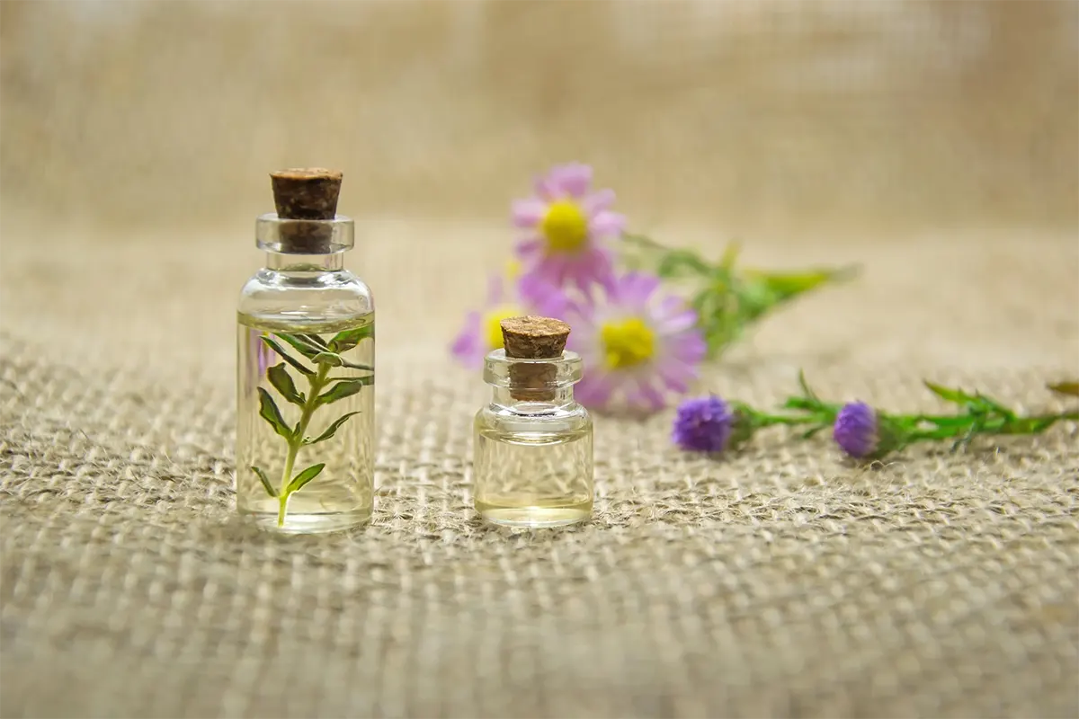 Aromatherapy: Essential Oils to Nourish Your Skin