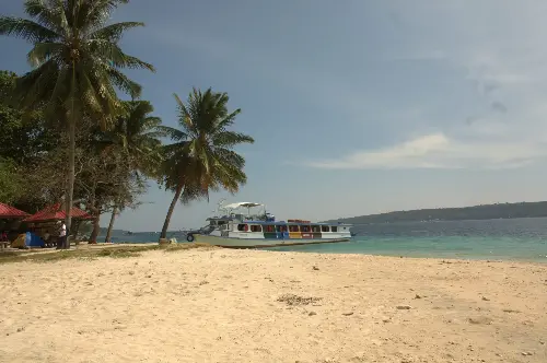 Summer, Nature, Outdoors