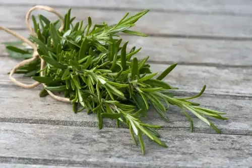 Rosemary helps improve PMS symptoms, such as abdominal cramps, and regulates menstruation.