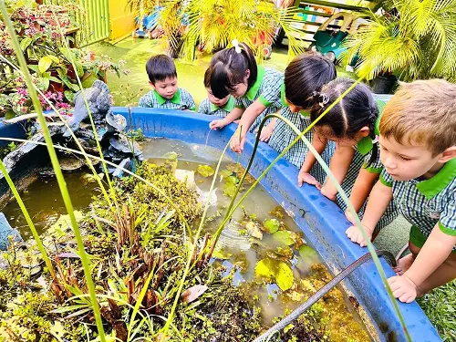 outdoor pond exploration childcare centre activity